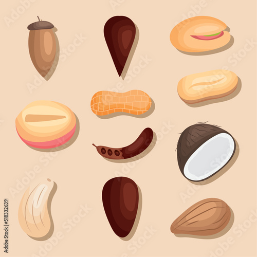 superfood nuts icon set