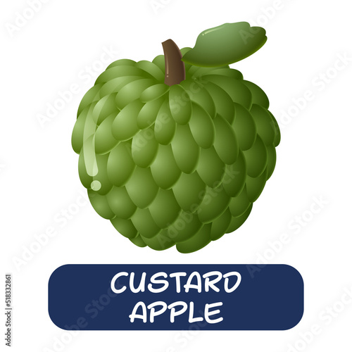 cartoon custard apple fruit vector isolated on white background