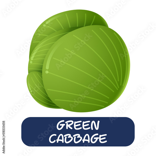 cartoon green cabbage vegetables vector isolated on white background