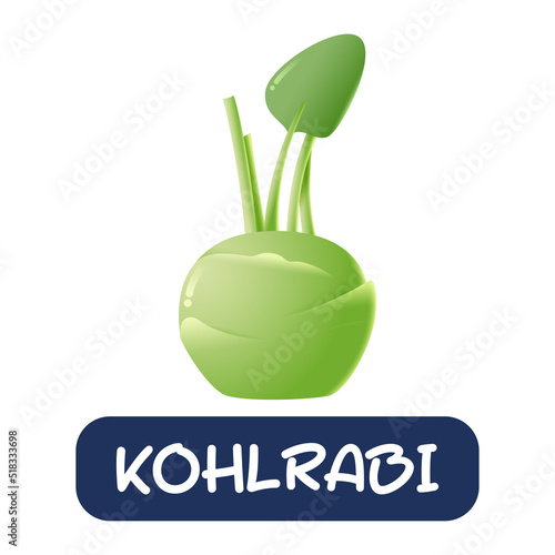 cartoon kohlrabi vegetables vector isolated on white background
