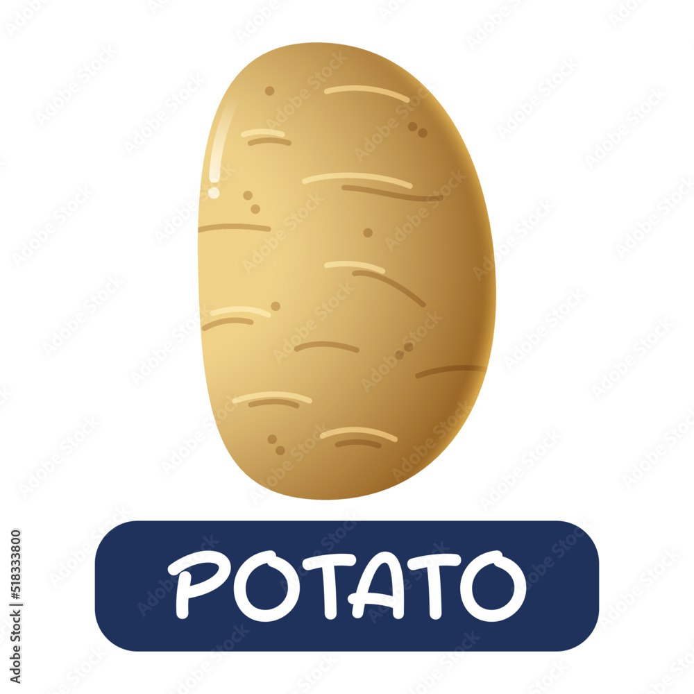 cartoon potato vegetables vector isolated on white background cartoon potato vegetables vector isolated on white background