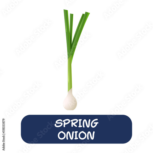 cartoon spring onion vegetables vector isolated on white background