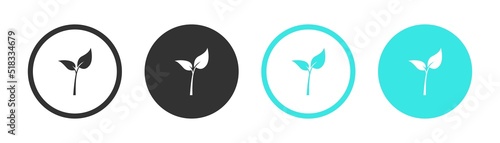 edit leaf icon. Create modify leaf sign button. leaf icon. Vector.