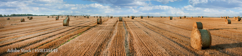 panoramic view of a field with wheat stubble, piles of rolls and stripes afte...