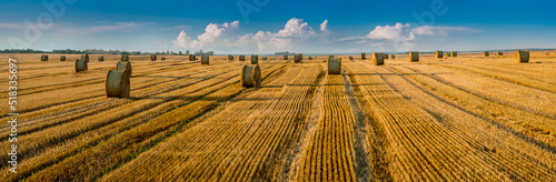 panoramic view of a line of stubble harvested in a field of wheat and bales o...