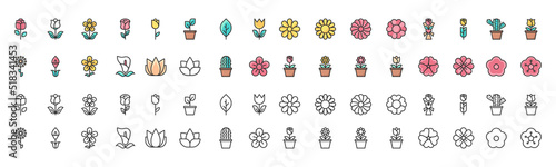 flower icons vector illustrator, floral, rose, cactus photo