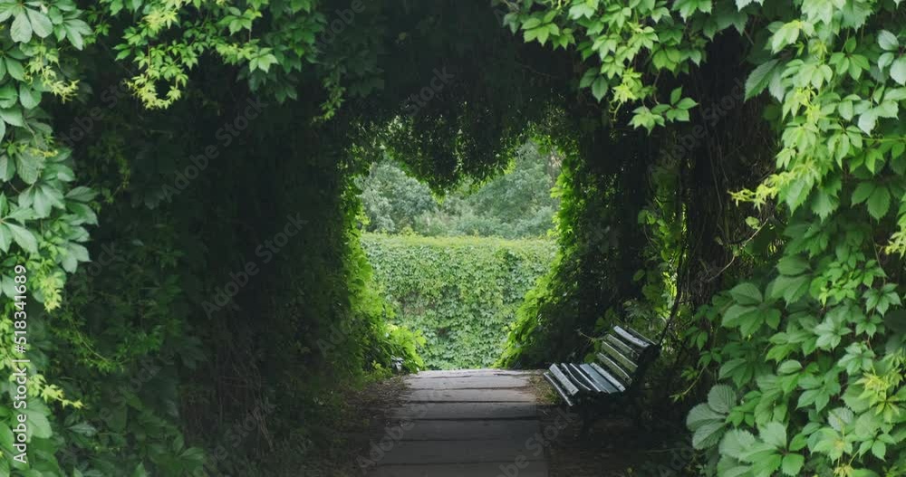 Mysterious green garden in windy weather. Fresh green leaves wind swaying. Clean garden nature path. Fairy romance nature. Mystery heart arch in love climbing plants background. 4k enigmatic footage Mysterious green garden in windy weather. Fresh green leaves wind swaying. Clean garden nature path. Fairy romance nature. Mystery heart arch in love climbing plants background. 4k enigmatic footage