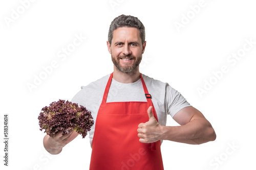 man in apron with lettuce vegetable show thumb up isolated on white