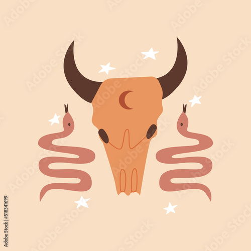 Western vector illustration with bull skull and snake on isolated background. Wild west, mystical, boho, magic, esoteric concept