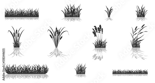 Swamp grass silhouette with reeds is mirrored. Set of vector illustrations of black shadows of marsh vegetation.