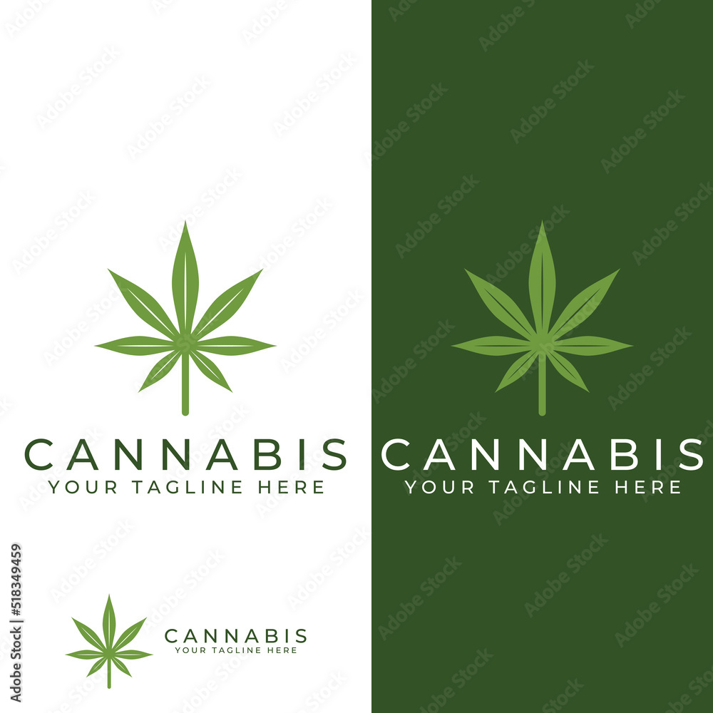 Marijuana or cannabis  leaf logo or illustration template vector design.