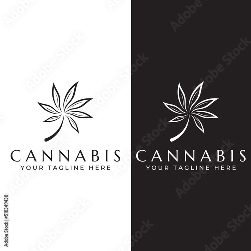 Marijuana or cannabis  leaf logo or illustration template vector design.