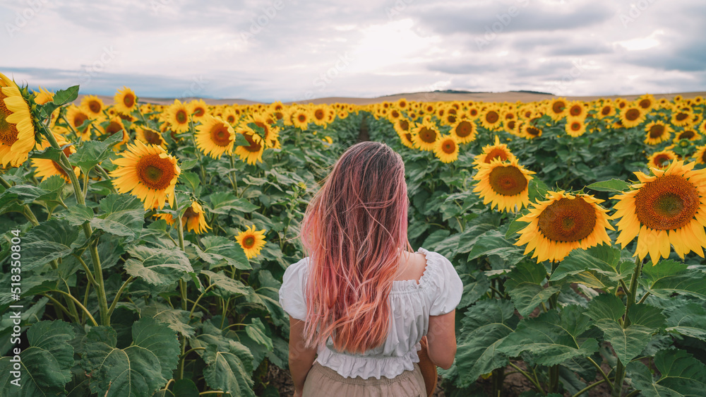 Naklejka premium The girl is running inside the sunflowers