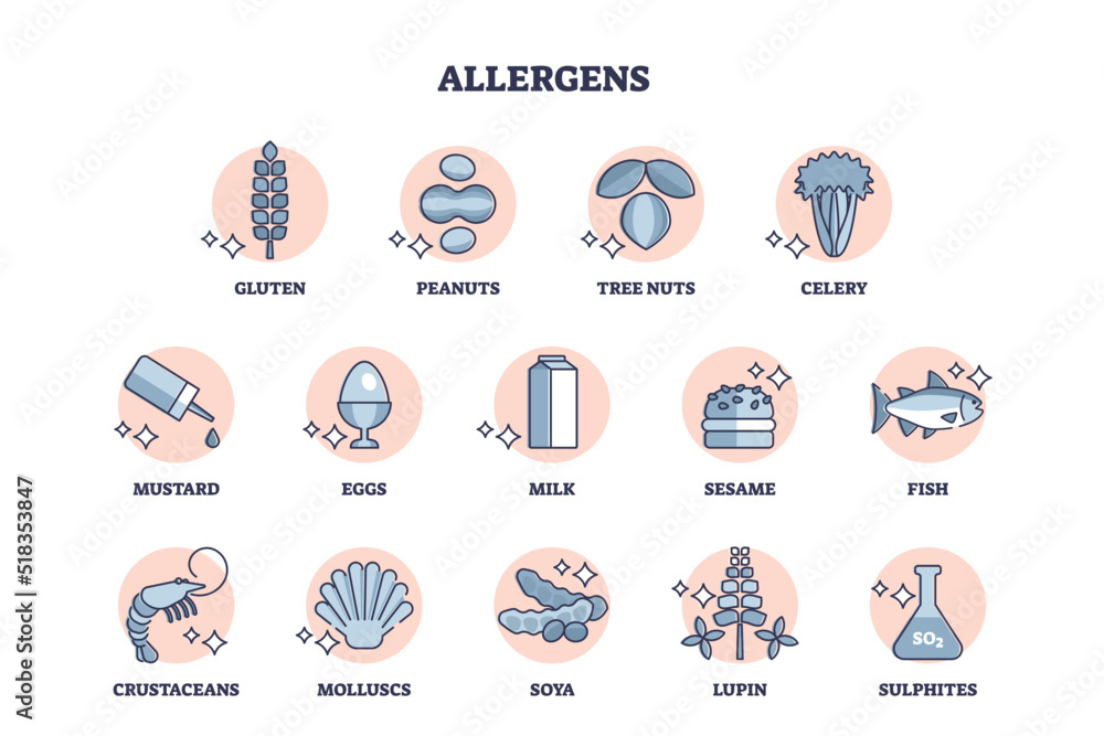 Allergens set as allergic products collection from food ingredients outline diagram. Labeled educational scheme with variety of gluten and peanuts items that cause health reaction vector illustration.