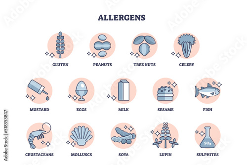 Allergens set as allergic products collection from food ingredients outline diagram. Labeled educational scheme with variety of gluten and peanuts items that cause health reaction vector illustration.