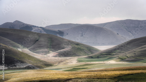 Castelluccio di Norcia flowering 2022 end of June, in the foreground the cornflowers on the large plain with clouds and blue sky over the Sibillini mountains