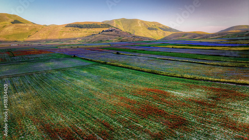 Castelluccio di Norcia flowering 2022 end of June, in the foreground the cornflowers on the large plain with clouds and blue sky over the Sibillini mountains.