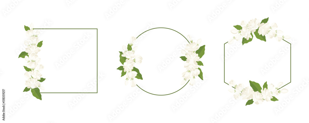 Collection of wreath jasmine flower hand drawn illustration.
