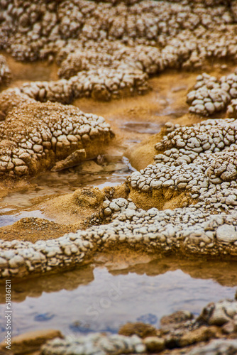 Up close view of alkaline formations in Yellowstone