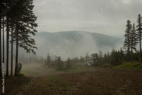 Fototapeta Naklejka Na Ścianę i Meble -  Beskidy