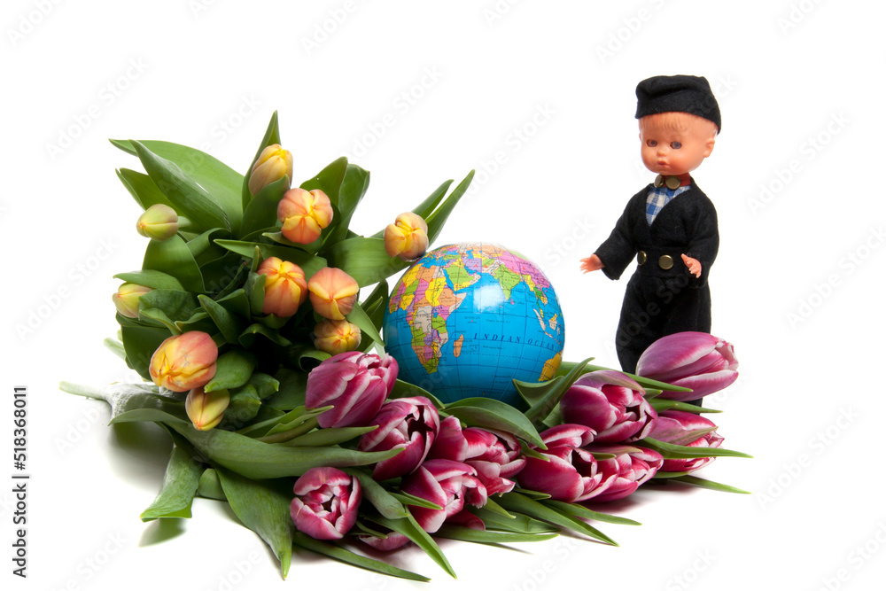 Tulips from Holland