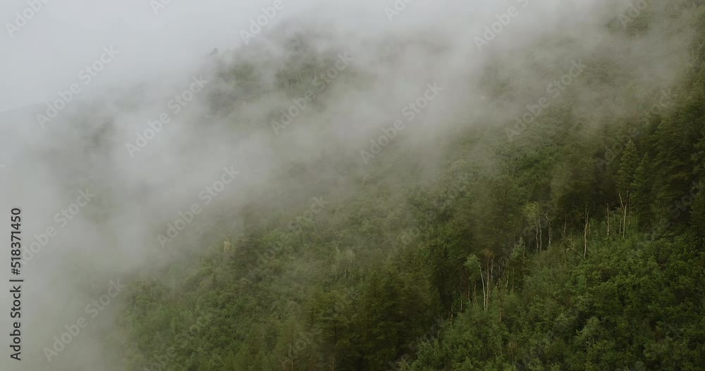 Rainy weather in mountains. Misty fog blowing over pine tree forest. Aerial footage of spruce forest trees on the mountain hills at misty day. Morning fog at beautiful forest. Rainy weather in mountains. Misty fog blowing over pine tree forest. Aerial footage of spruce forest trees on the mountain hills at misty day. Morning fog at beautiful forest.