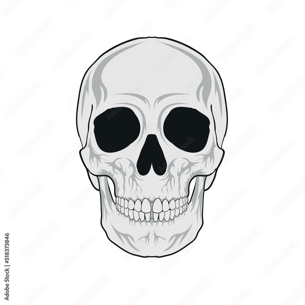 Fototapeta premium Skull Head Vector Illustration