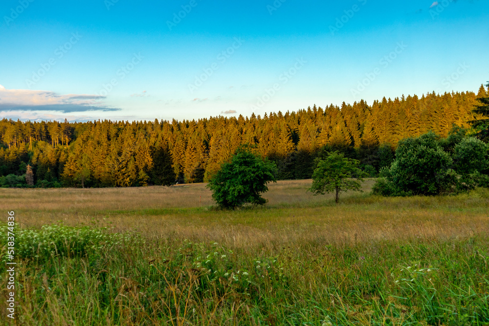 Sommerspaziergang durch die schöne Natur des Thüringer Waldes - Thüringen
