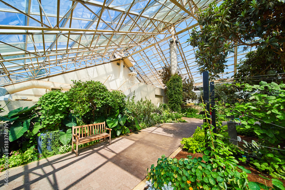 Walking path with bench in greenhouse and glass ceiling