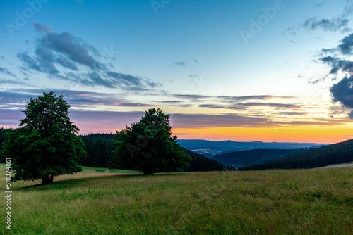 Sommerspaziergang durch die schöne Natur des Thüringer Waldes - Thüringen © Oliver Hlavaty