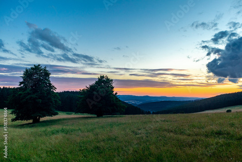 Sommerspaziergang durch die schöne Natur des Thüringer Waldes - Thüringen © Oliver Hlavaty