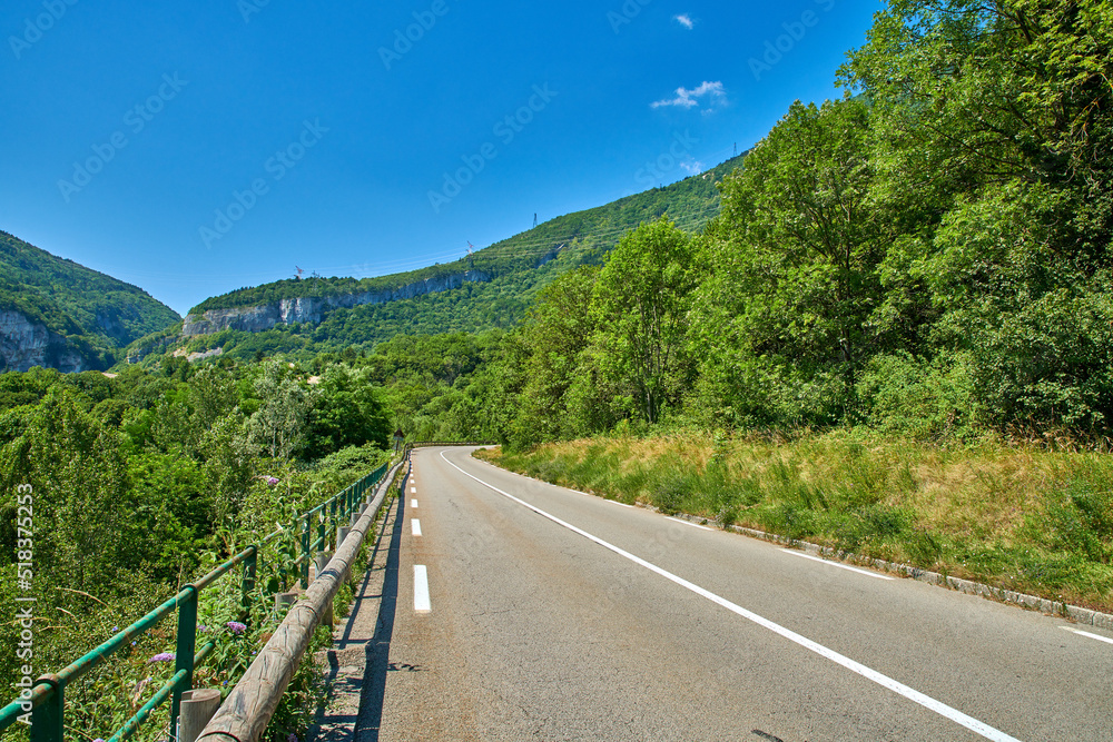 Countryside road between trees on a blue sky background and copy space. Nature landscape of an empty roadway winding through a forest with wild tree growth in an eco environment on a sunny summer day