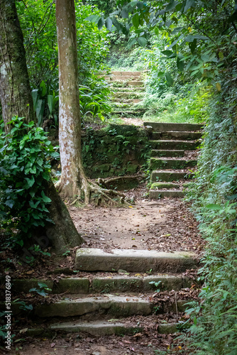 cement stairs in the middle of the forest