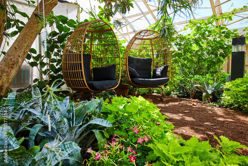 Fotografija Two chairs peacefully sitting in lush gardens of greenhouse