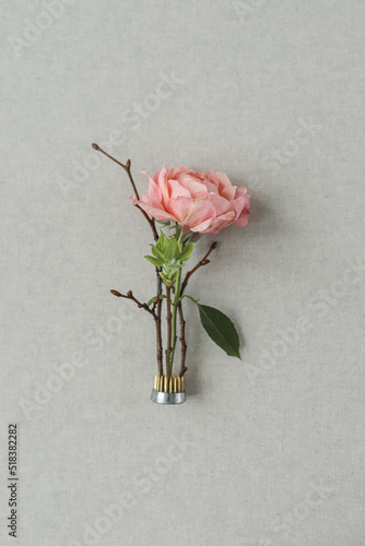 Fresh pink rose blooming over grey background photo