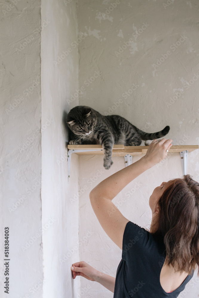 Woman playing with cat on shelf Woman playing with cat on shelf