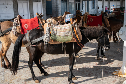 Fototapeta Naklejka Na Ścianę i Meble -  A pack mule in small Mediterranean town street in suny summer day