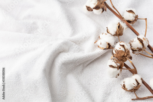 Branches of cotton on a white bath terry towel photo