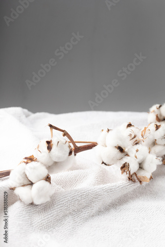 Branches of cotton on a white bath terry towel