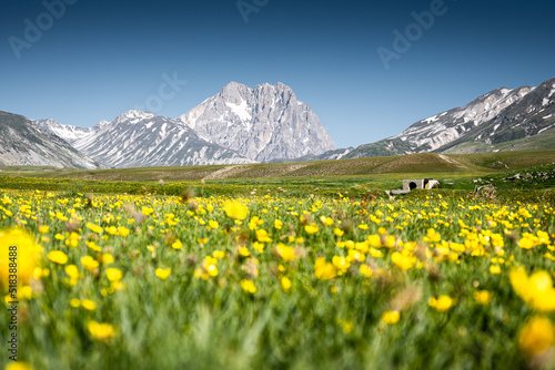 il corno grande del gran sasso d'italia visto da campo imperatore in una giornata di primavera photo