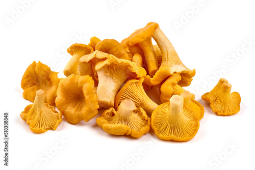 Chanterelles mushrooms, isolated on white background.
