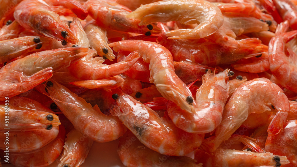 Shrimps background texture. A lot of shrimps. Shrimps background texture. A lot of shrimps.