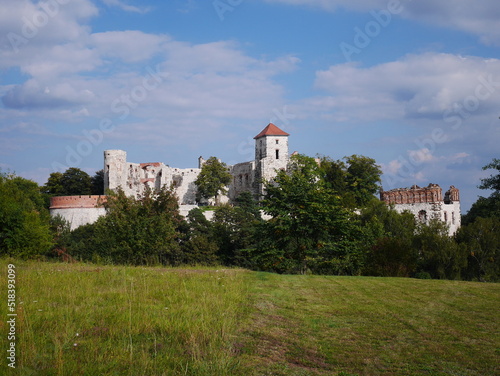 Ruiny zamku Tenczyn w Rudnie