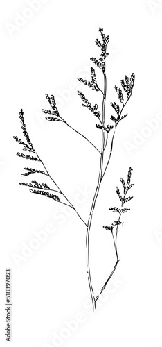 Dry grass collection. Vector illustration. Lavender. festive decoration template.
