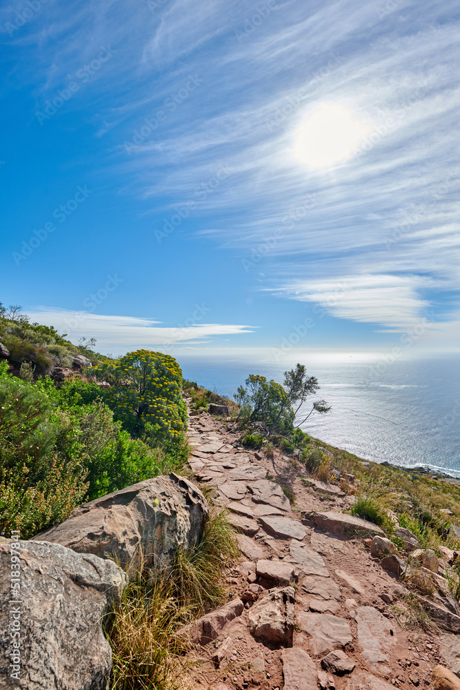 Fototapeta premium Lions Head Mountain trail with a relaxing beautiful ocean view. Lush green trees and bushes growing in harmony with nature. Popular attraction for tourists who enjoy outdoor adventure
