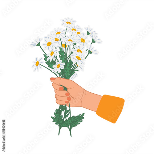 Stock vector hand drawn illustration beautiful bouquet of daisies in a female hand