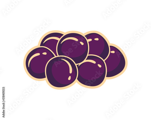 flat acai design