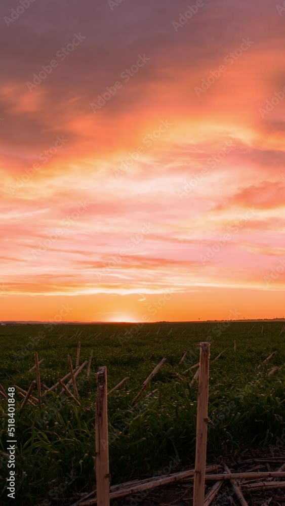 Colorful sunset timelapse looking over the plains in South Dakota past old sunflower field. Colorful sunset timelapse looking over the plains in South Dakota past old sunflower field.