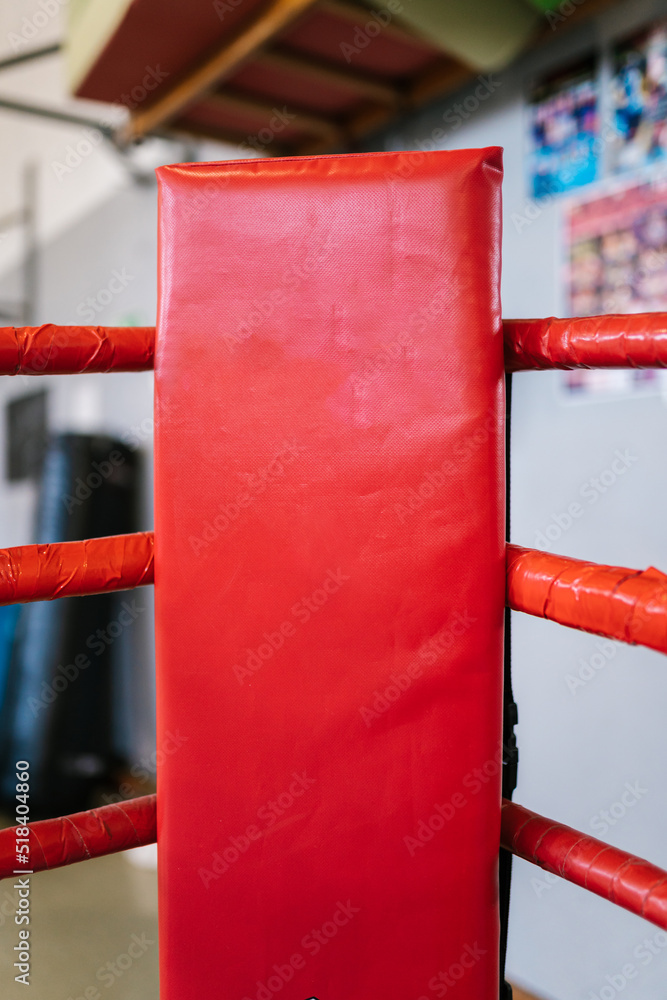 Boxing Ring Corner Pads