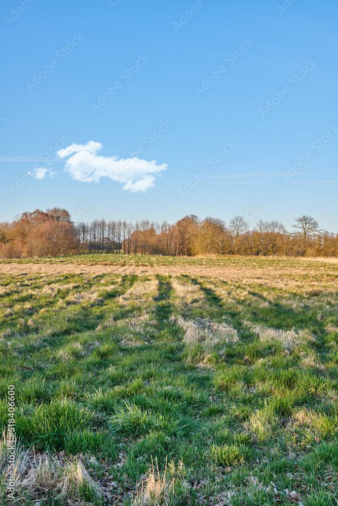 Winter landscape on a farm with trees in a row against a cloudy sky copy space background over the horizon. Snowy plowed field across a beautiful countryside in nature during chilly and cold weather